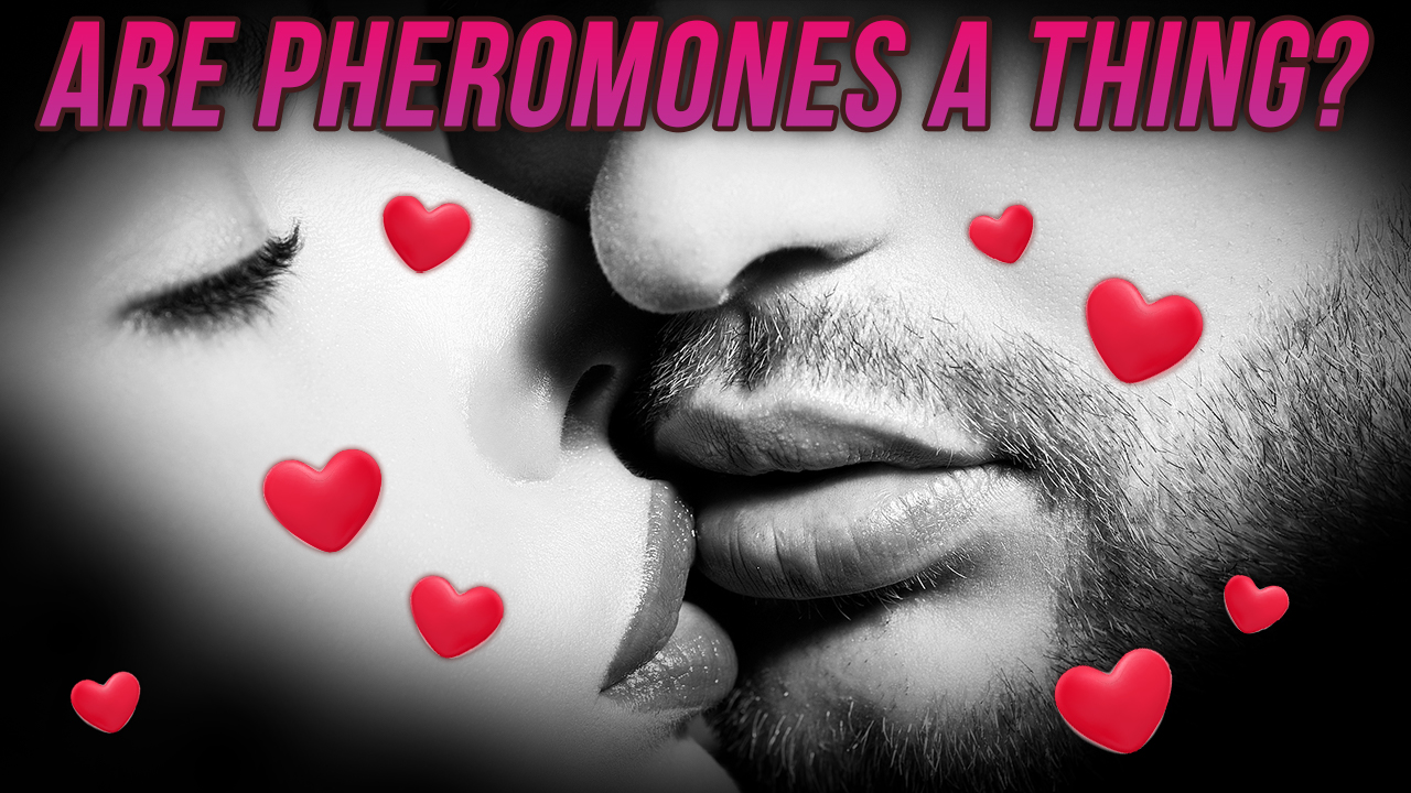 Pheromone Phobia: Understanding Fear of Attraction