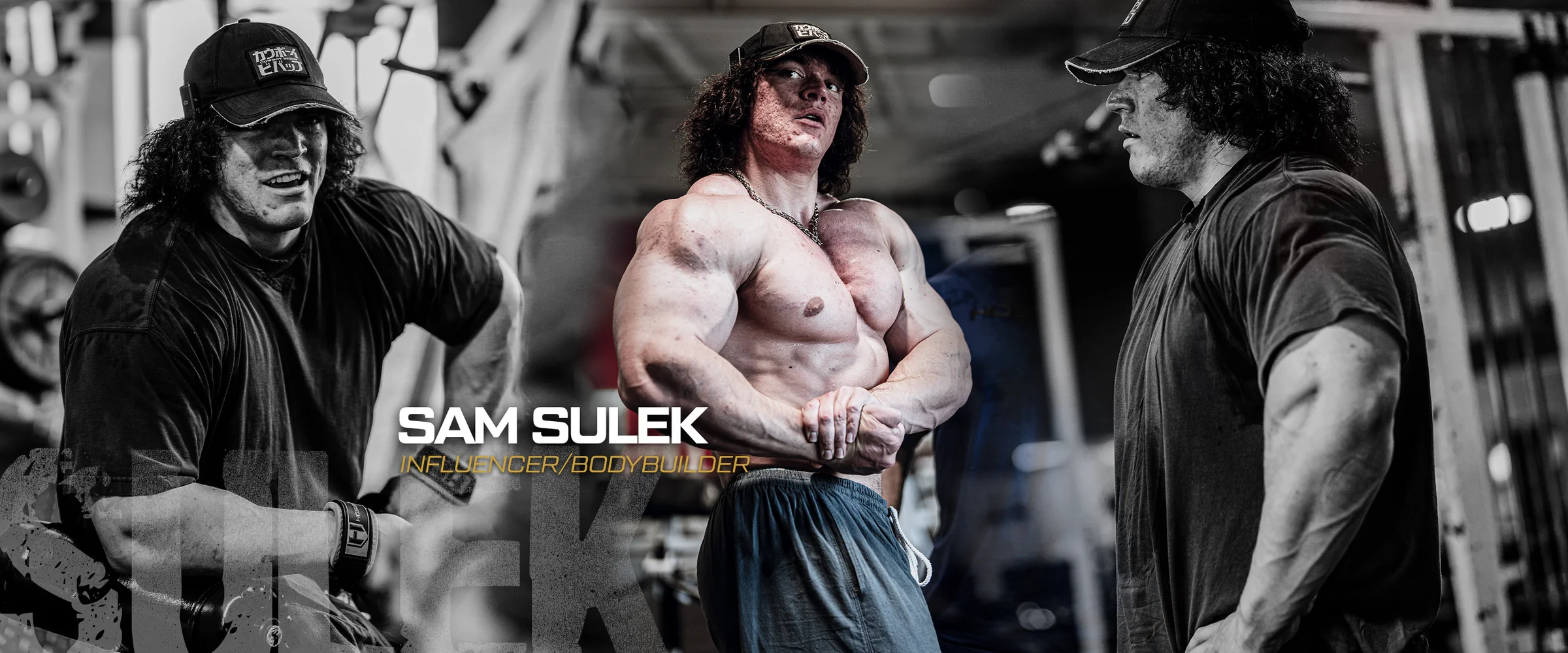 Sam Sulek Workout Routine